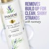 Pantene Sulfate Free Shampoo;  Detangling Shampoo with Rosemary;  9.6 oz
